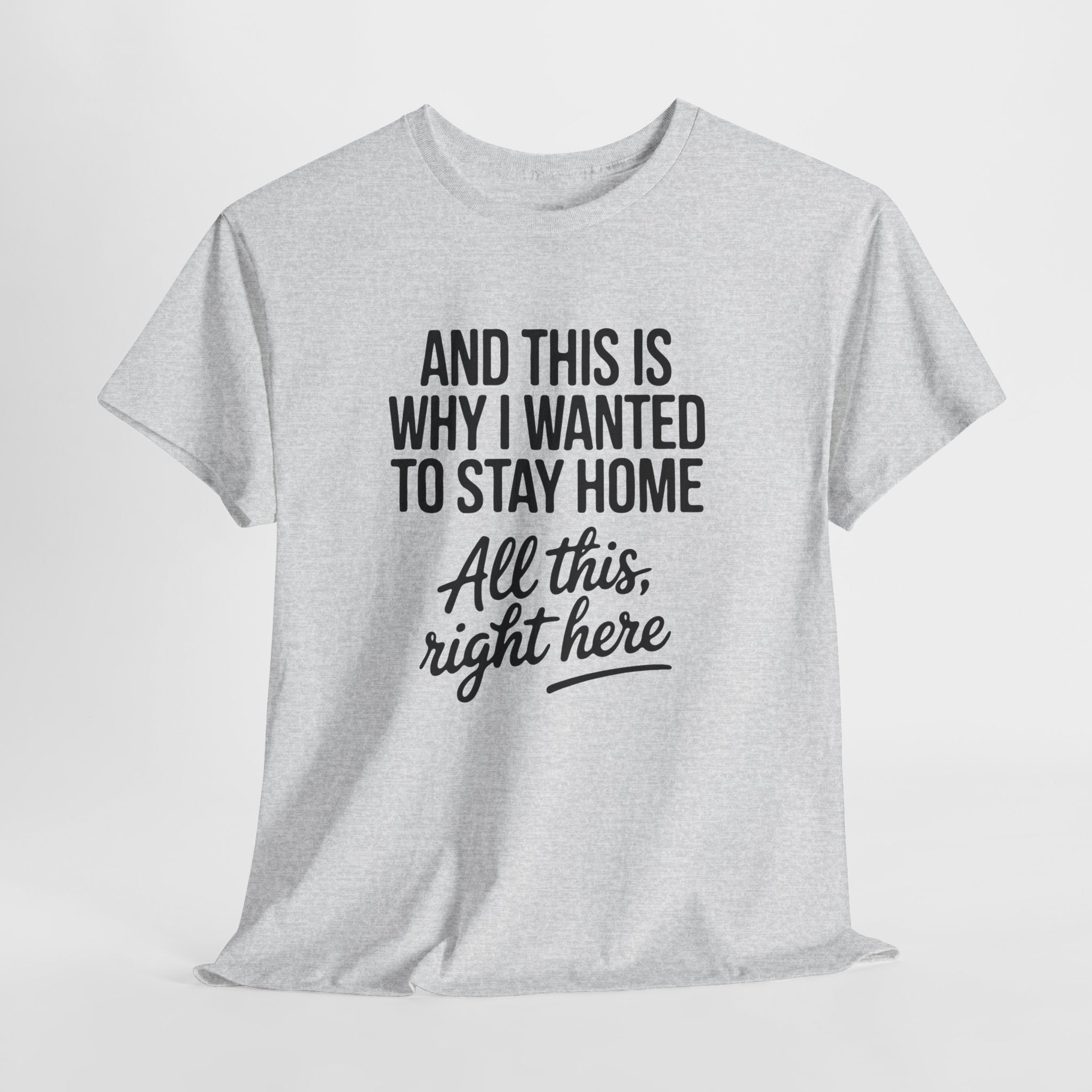 And This Is Why I Wanted To Stay Home T-Shirt on White Background