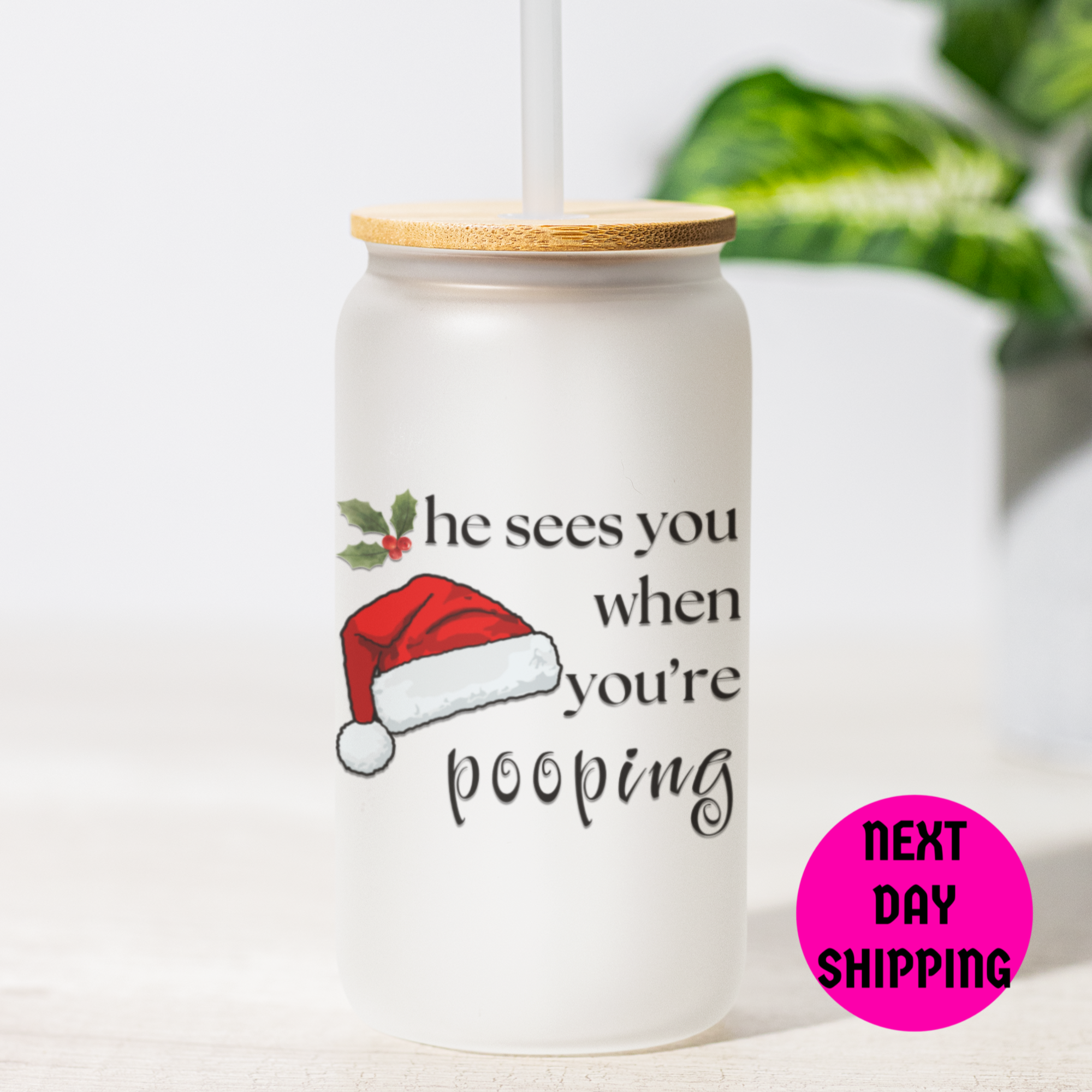 Tumbler with 'He Sees You When You’re Pooping' text, with a plant in the background.